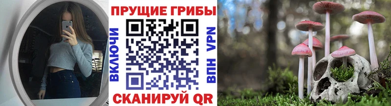 Галлюциногенные грибы Psilocybine cubensis  MEGA вход  Сусуман  цена наркотик 